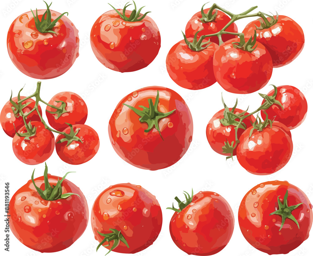 tomato watercolor clipart tomato watercolor clipart