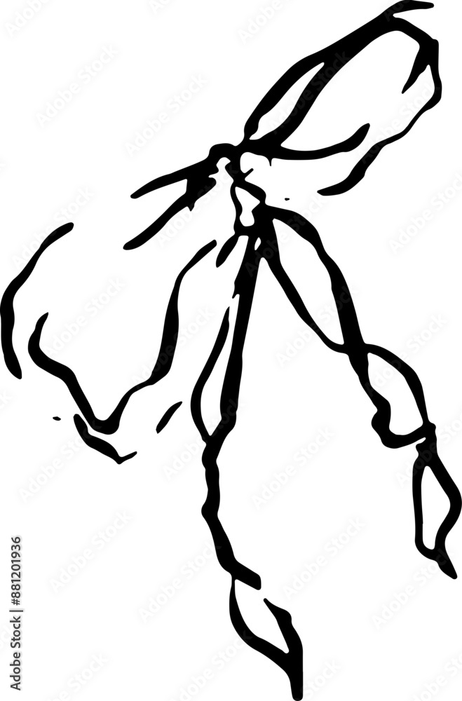 Fototapeta premium hand drawn illustration of a bow