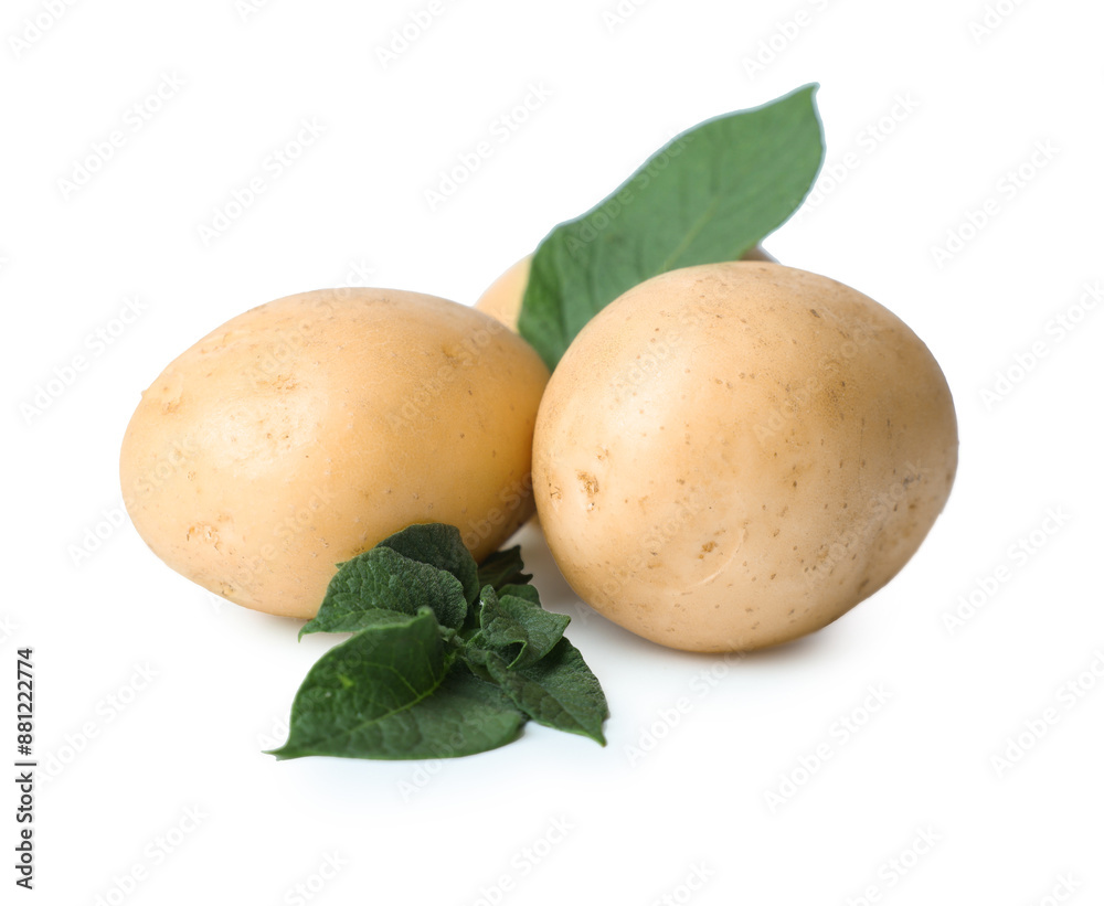 Fresh raw potatoes and green leaves isolated on white Fresh raw potatoes and green leaves isolated on white