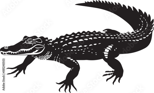 crocodile in a black