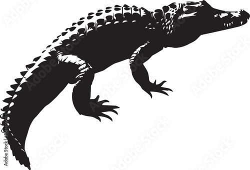 crocodile in a black