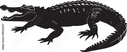 crocodile in a black