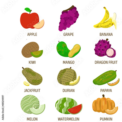 Fruit flat illustration collection