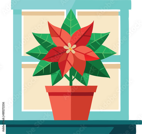 Poinsettia flower in pot