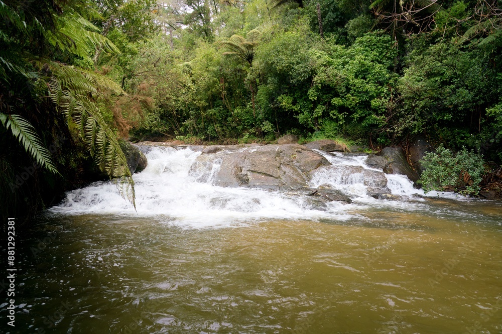 Obraz premium The Kaiate Stream