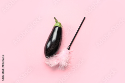 Fresh eggplant with feather...