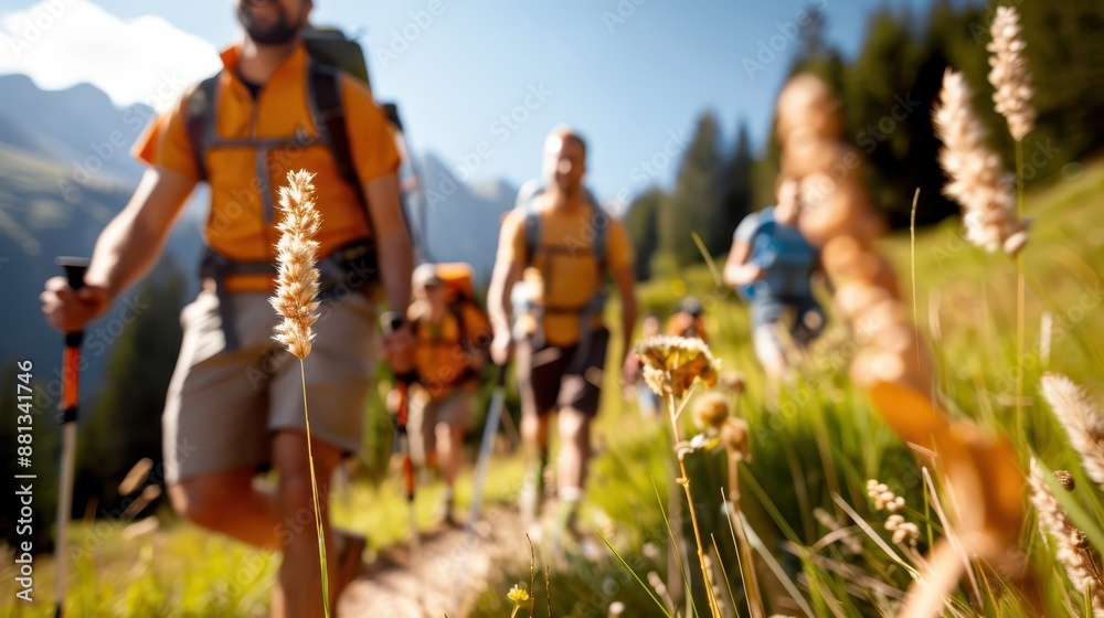 Several hikers in bright clothing and equipped with hiking gear are seen exploring a beautiful, sunlit mountain path with fresh green grass and a picturesque landscape. Several hikers in bright clothing and equipped with hiking gear are seen exploring a beautiful, sunlit mountain path with fresh green grass and a picturesque landscape.