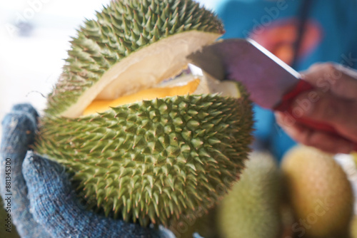 Close up of a process of cutting open a durian.