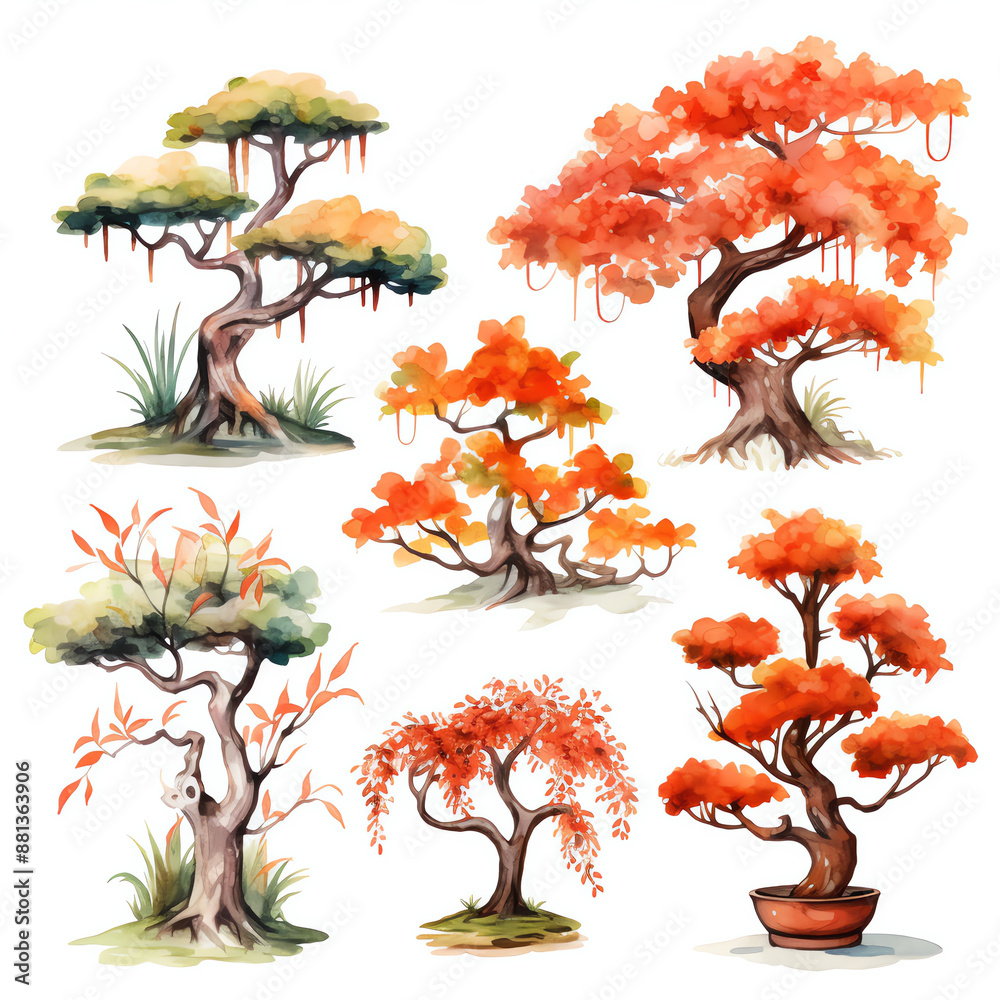 Fototapeta premium Watercolor bonsai trees on a white background