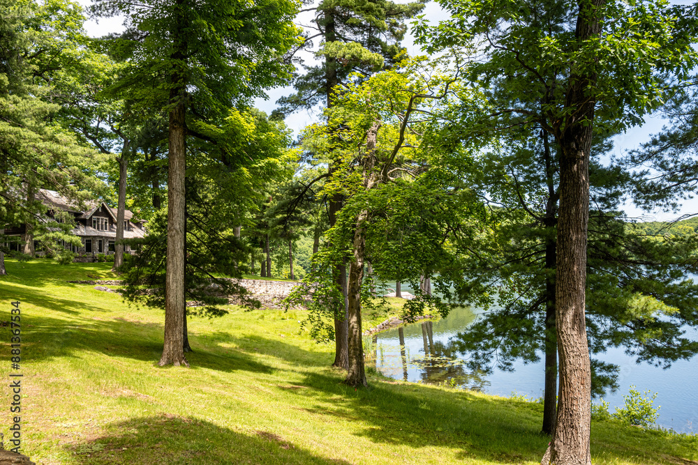 Nestled among towering trees, this charming stone house overlooks a tranquil lake, offering a picturesque escape into nature's serene embrace. Nestled among towering trees, this charming stone house overlooks a tranquil lake, offering a picturesque escape into nature's serene embrace.