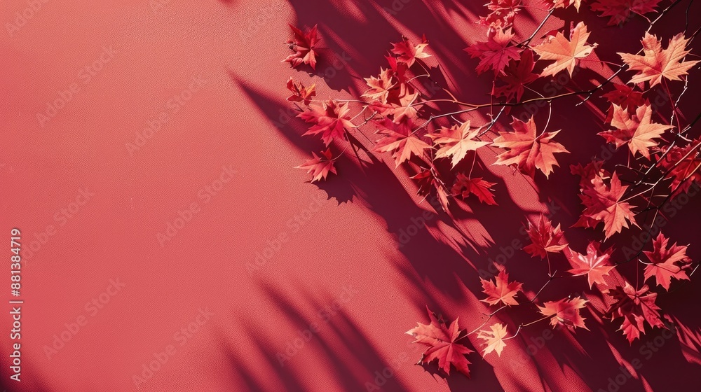 Minimal autumn concept with maple tree leaves casting shadows on a red backdrop Trendy flat lay with sunlight and overlay effect Template with empty space for design Minimal autumn concept with maple tree leaves casting shadows on a red backdrop Trendy flat lay with sunlight and overlay effect Template with empty space for design