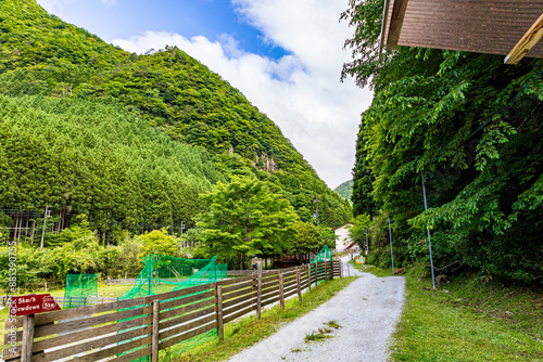 新緑に包まれたとあるキャンプ場