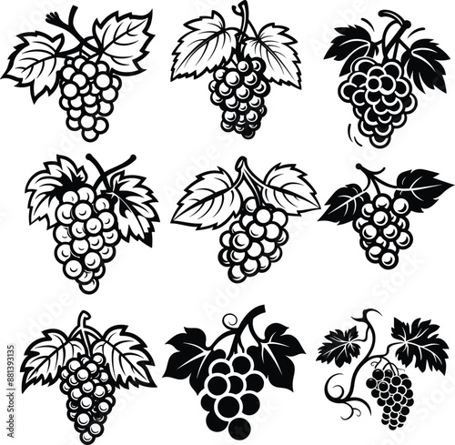 grape silhouette black and white vector illustration collection
