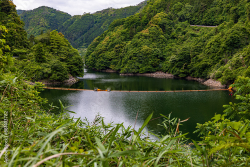 新緑に包まれたダム湖