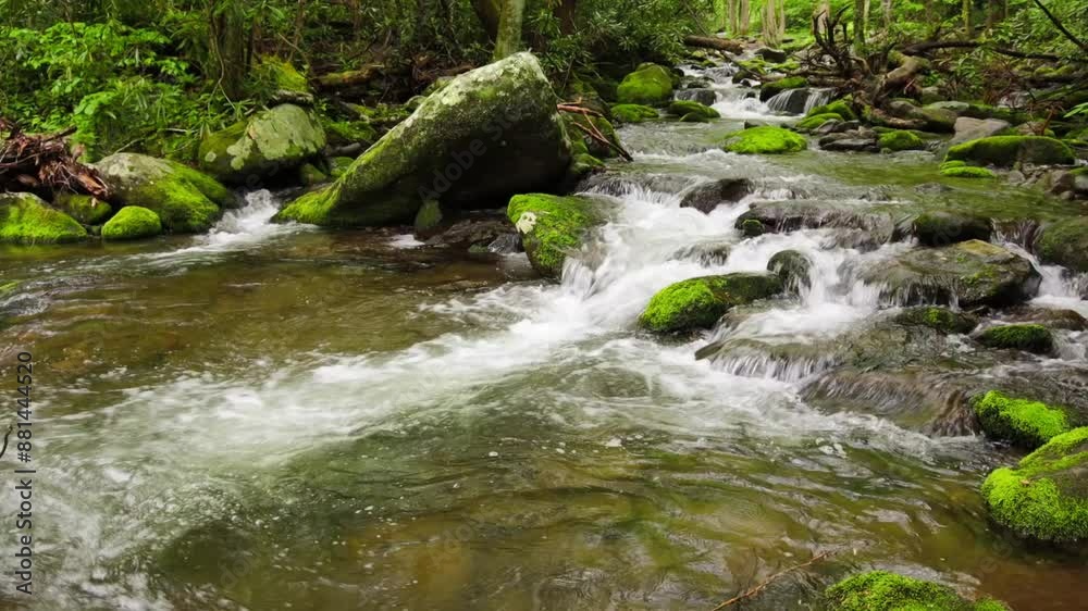 Roaring Fork Stream Cascading Over Moss Covered Boulders, Roaring Fork Nature Trail, Great Smoky Mountains National Park, Tennessee, USA Roaring Fork Stream Cascading Over Moss Covered Boulders, Roaring Fork Nature Trail, Great Smoky Mountains National Park, Tennessee, USA
