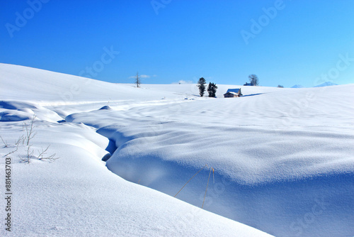 Winter and morning view of snow covered field with a house and tree on the hill at Biei, Hokkaido, Japan 