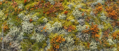 Wallpaper Mural Panoramic close-up, high detail scan of tundra moss texture, Generative AI Torontodigital.ca