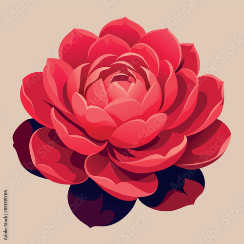 A solitary red peony against a white backdrop