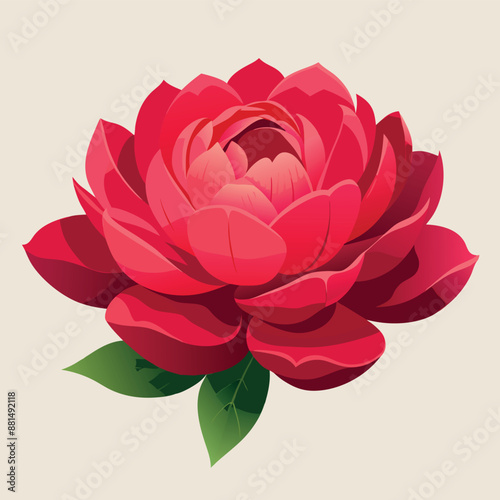 A solitary red peony against a white backdrop