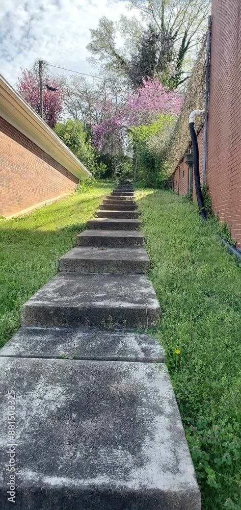 Concrete path stairway leading up between buildings to a private yard sanctuary, in a urban setting Concrete path stairway leading up between buildings to a private yard sanctuary, in a urban setting