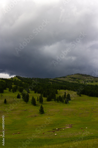 Landscape of Heavy Cloud on field. Green hills and stormy sky. Bad weather day outdoor. Beautiful dramatic nature shot