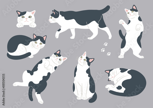 かわいい猫のさまざまなポーズのイラスト　
白黒猫　バリエーション