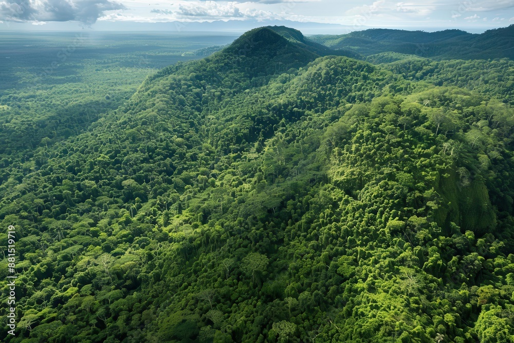 Fototapeta premium Aerial view of lush green forested mountains under a partly cloudy sky, showcasing the beauty of nature and wilderness.