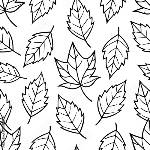 Fall foliage arranged in a smooth design