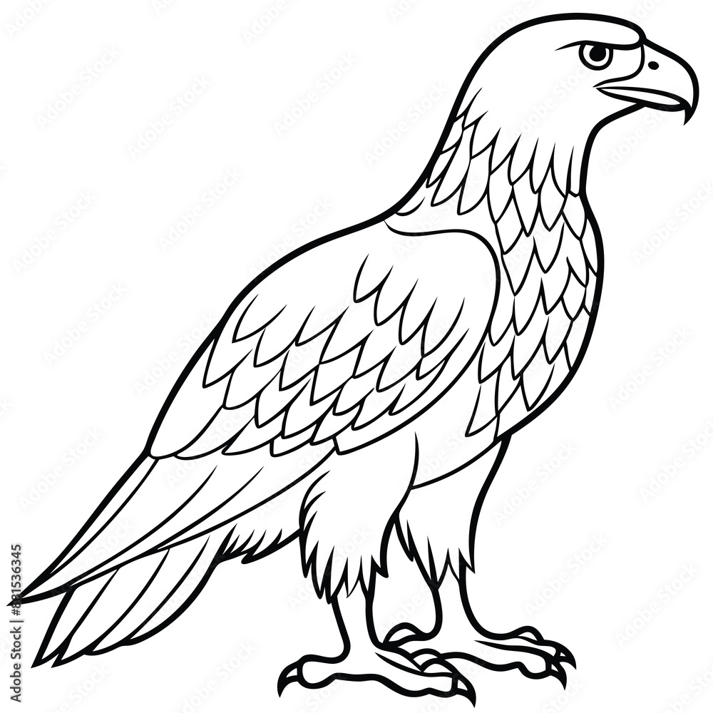 Fototapeta premium Golden Eagle full body vector illustrator, Hawk black icon, Hawk silhouette.