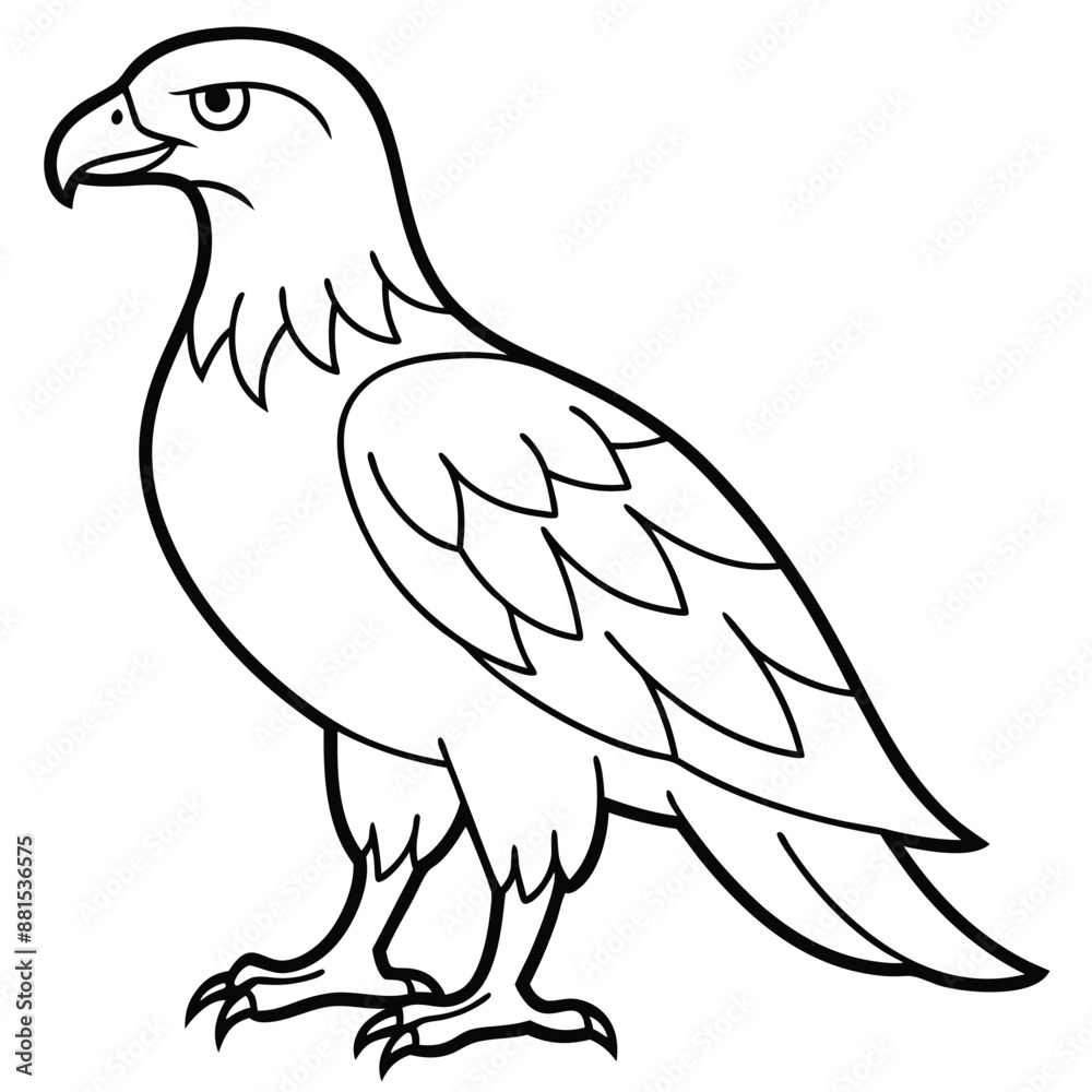 Fototapeta premium Golden Eagle full body vector illustrator, Hawk black icon, Hawk silhouette.