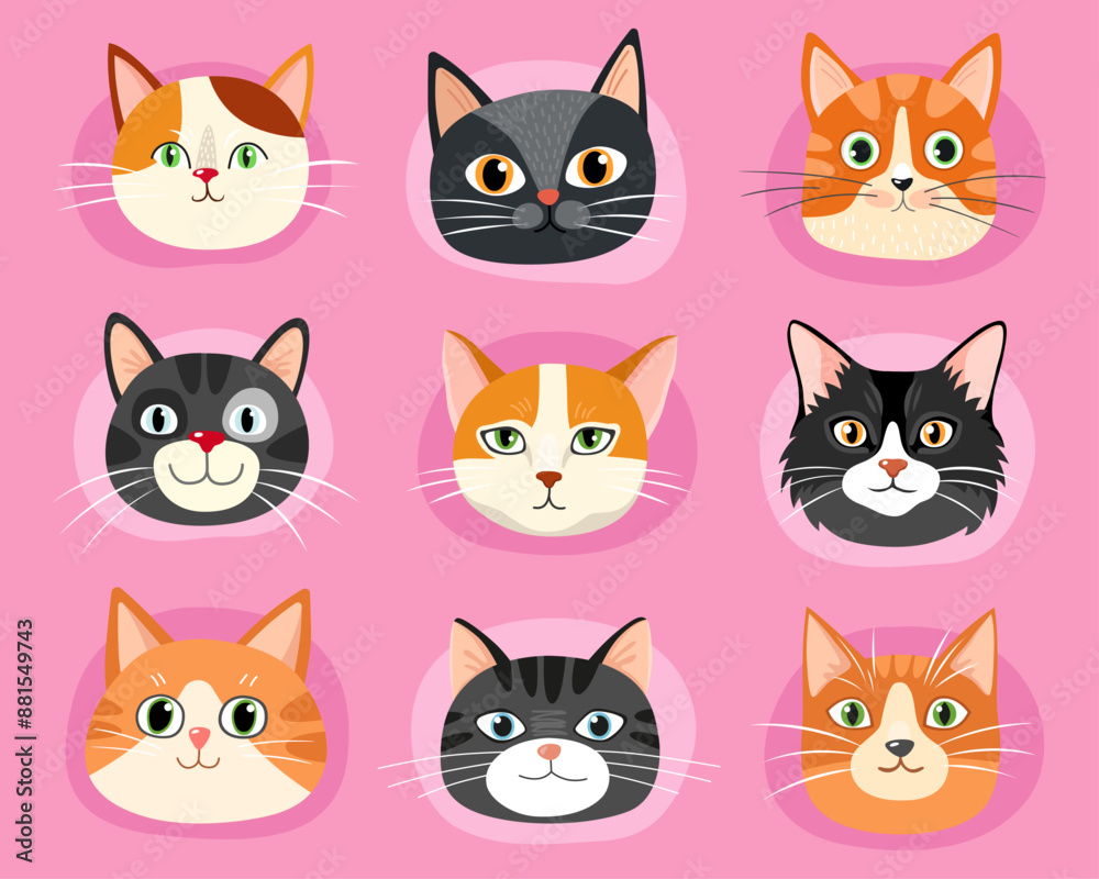 Fototapeta premium Collection of different faces of cats. Red, black, gray and calico cute cats. Tabby and calico cats. Characters. Cartoon flat illustrations of kittens. Emotions. Animal faces.