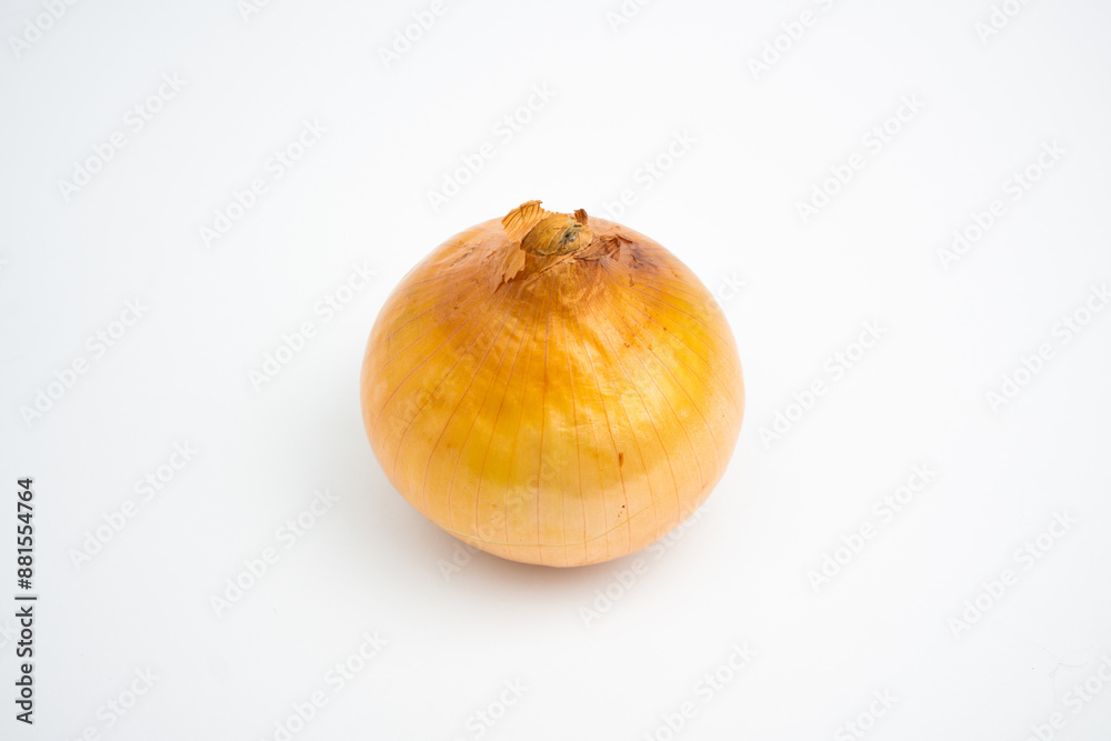 Single Onion. isolated on white background. Single Onion. isolated on white background.