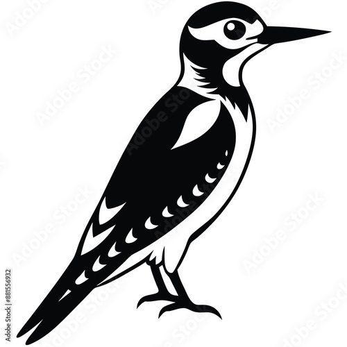 Woodpecker Bird Silhouette Vector illustration black and white