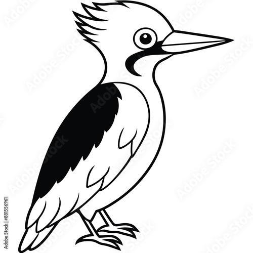 Woodpecker Bird Silhouette Vector illustration black and white