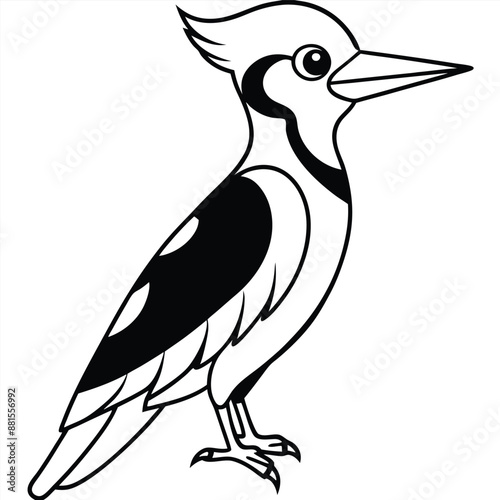 Woodpecker Bird Silhouette Vector illustration black and white