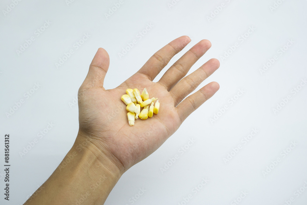 Cracked corn in human hand. isolated on white background Cracked corn in human hand. isolated on white background