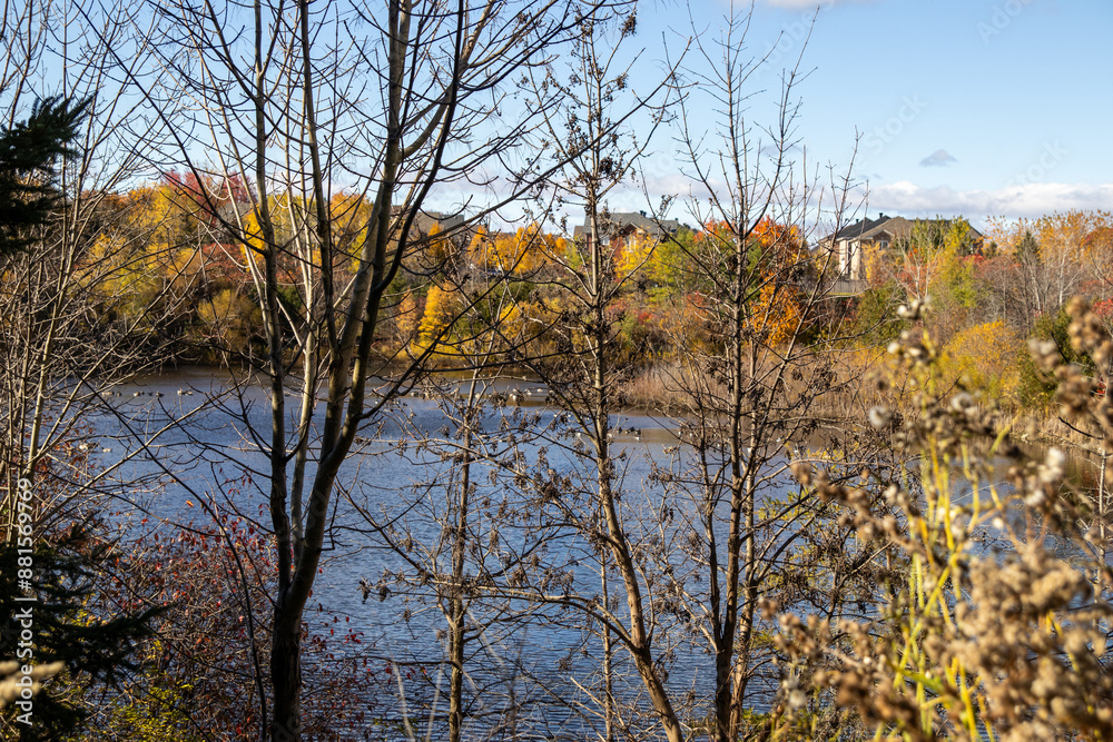 Fototapeta premium Autumnal scene - serene lake surrounded by foliage in vibrant hues of orange and yellow - clear blue sky with wispy clouds. Taken in Toronto, Canada.