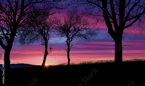 Silhouette of trees against a colorful sunset sky.