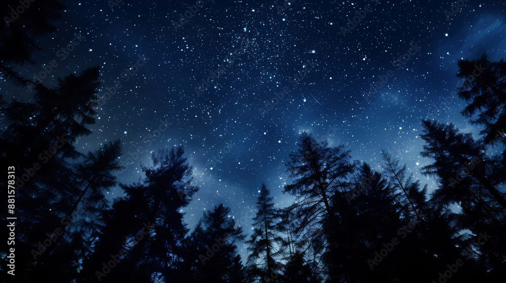 Fototapeta premium A night sky brightly lit with stars