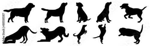 dog silhouette vector illustration collection. black silhouette on a white background showing various dog poses. ideas for pet themed designs