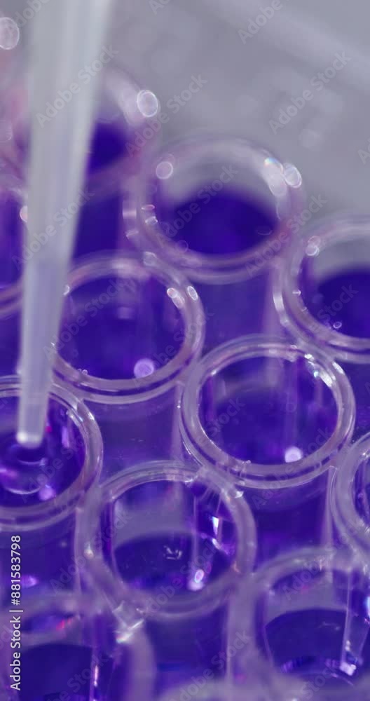 Pipette, science and sample with equipment in laboratory for experiment, innovation or research. Development, liquid and test tube with solution in dropper for healthcare, medical or pharmaceuticals Pipette, science and sample with equipment in laboratory for experiment, innovation or research. Development, liquid and test tube with solution in dropper for healthcare, medical or pharmaceuticals