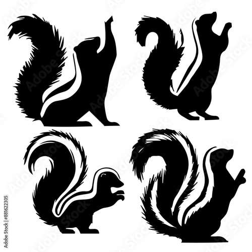 Skunk  Raising tail silhouette isolated on white background