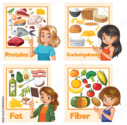 Illustration of proteins, carbohydrates, fats, and fiber