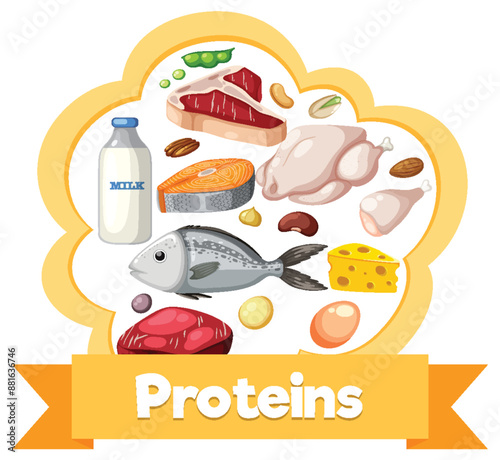 Illustration of diverse protein sources