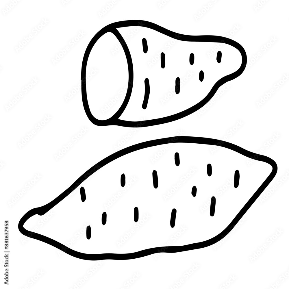 Hand drawn black and white color of  potatoes design isolated on trantransparent background. Vector illustration. 
