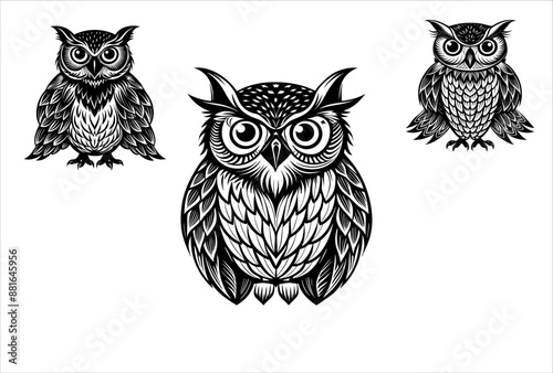 modern owl white and black color vector design.