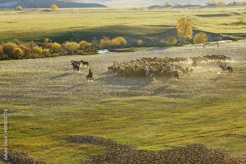 Neimenggu, Inner Mongolia, China - September 28, 2017: Autumnal and morning view of cowboys and horses on grassland of Passang Meadows
 photo