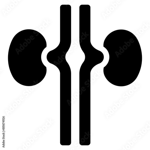 Vector Icon Kidney, Urologist, Organ, Anatomy, Kidneys