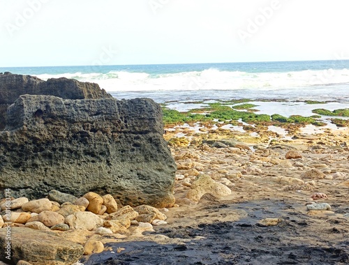 photo of large coral rocks on the beach, background photo