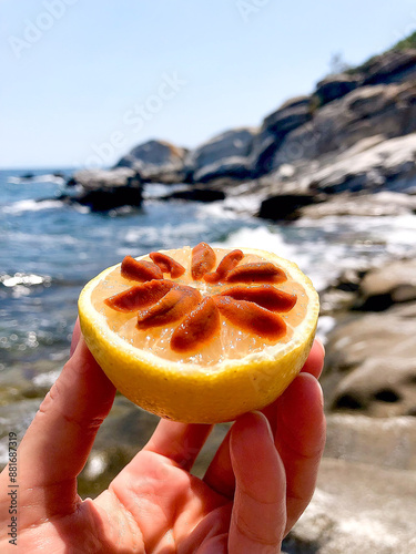 Fresh Sea Urchin Roe on Lemon Held Against Coastal Background – Gourmet Marine Delicacy from Mediterranean